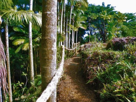 River Walk Trail
